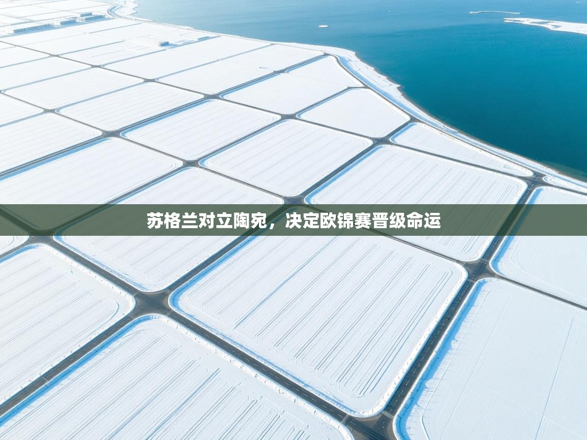 苏格兰对立陶宛，决定欧锦赛晋级命运  第2张